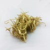 竹茹