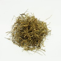 白花蛇舌草