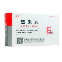 辰济 磁朱丸