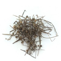 白花蛇舌草