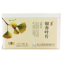 依康宁 银杏叶片