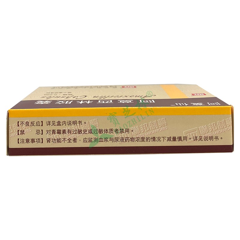 阿莫仙 阿莫西林胶囊