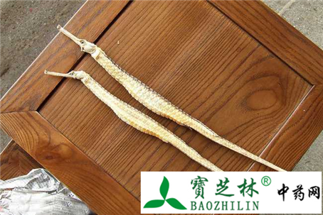 鉴别真品海龙