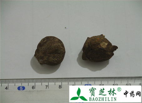 白附片与白附子片的区别(有图片)