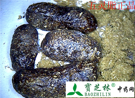 五灵脂的的真假鉴别