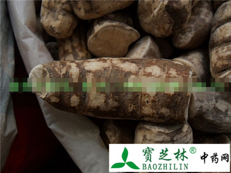 防己真假鉴别