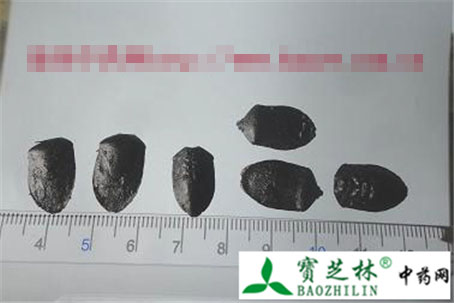 九香虫鉴别