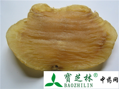 怎么鉴别鱼胶