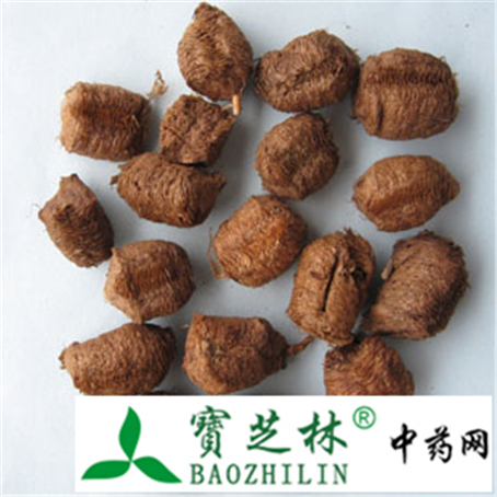桑螵蛸与海螵鞘的异同