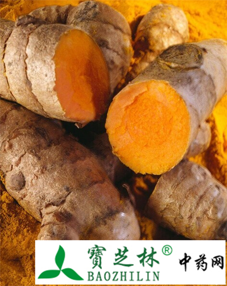 三七、姜黄的鉴别方法