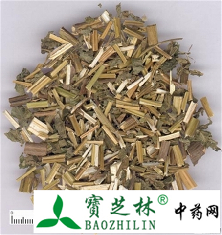 广藿香的真假鉴别