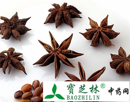 八角茴香真假鉴别