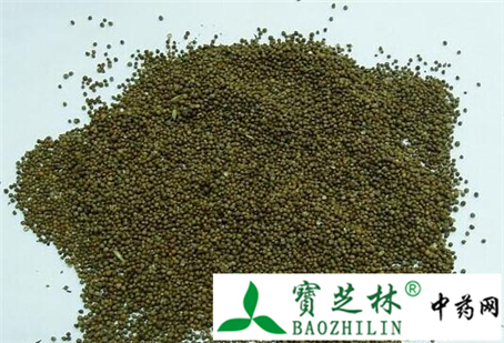 紫苏子鉴别