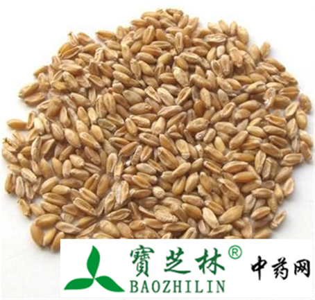 浮小麦性状鉴别