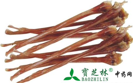 怎么鉴别鹿筋的真假
