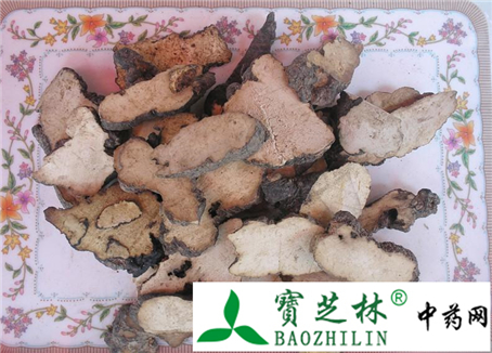 猪苓伪品的鉴别