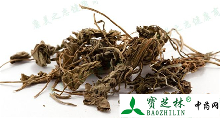 中药材紫花地丁真假鉴别