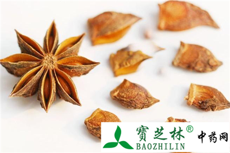 八角茴香(植物香料)及其混伪品的鉴别