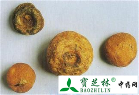 药材天南星的鉴别方法