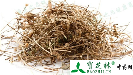 中药材谷精草的真假鉴别