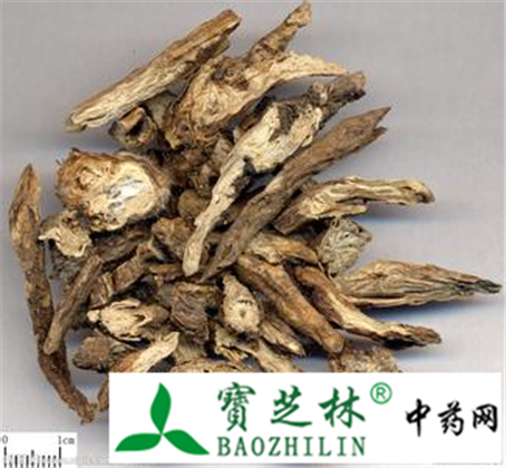 野棉花根冒充白头翁 使用时注意鉴别