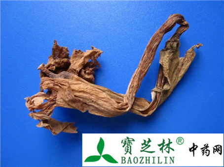 真品洋金花 质地轻泡易破碎味微苦