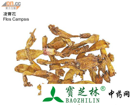 药用植物凌霄花的快速鉴别方法