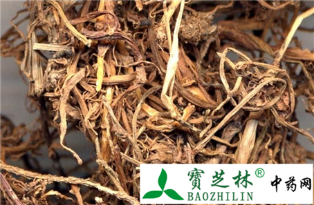 半边莲的真假的鉴别方法