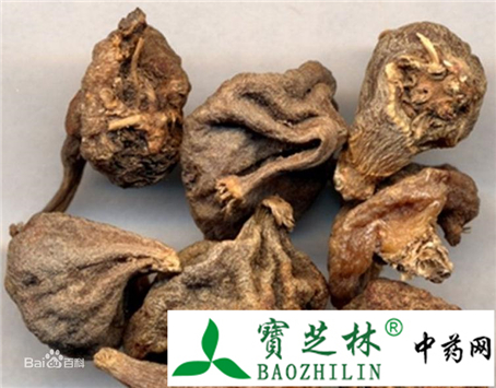 真品山慈菇 质地坚实断面粗糙遇水黏性