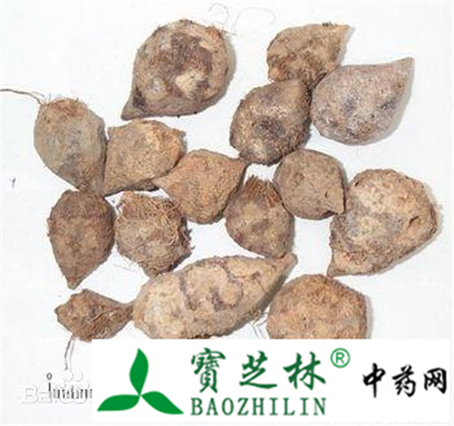 正品三棱 外表灰黄无臭尝之味甘微麻