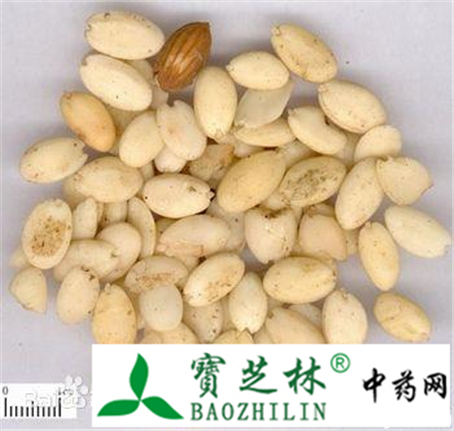 看形状种皮快速鉴别桃仁和苦杏仁