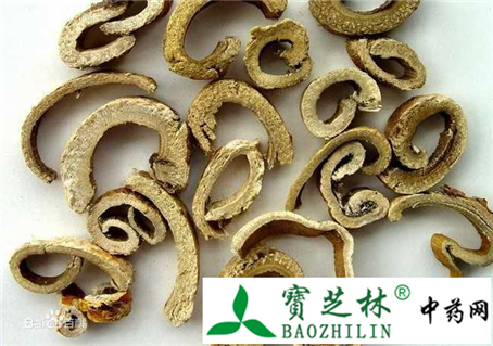 常用中药材桑白皮的鉴别四大要点