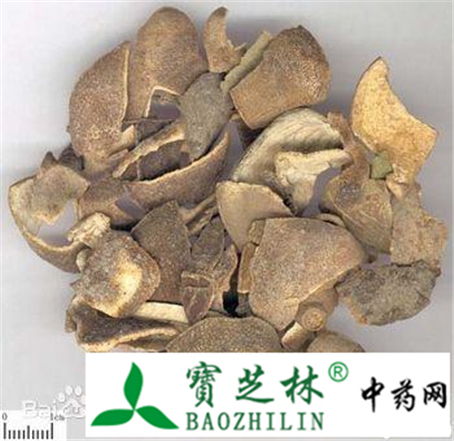 药材青皮几款性状鉴别