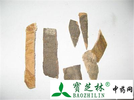 中药材秦皮的特征及鉴别方法