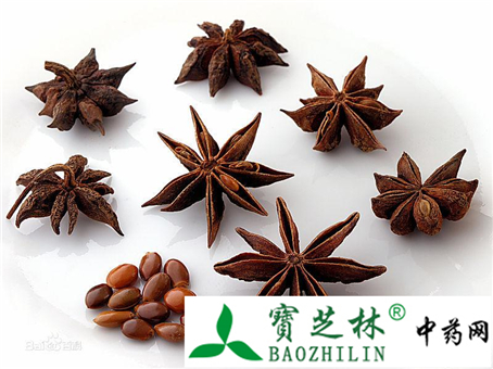 八角茴香的真假鉴别