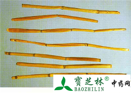 木贼的鉴别方法
