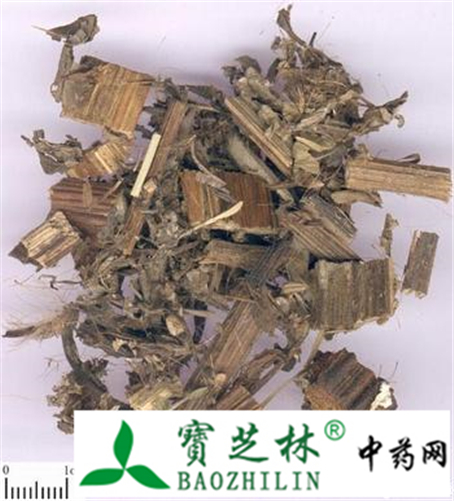 怎么辨别大蓟与小蓟