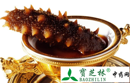 海参的品种及鉴别