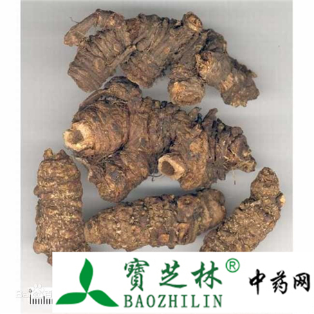 羌活与独活的鉴别