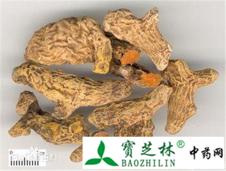 三七和姜黄的特征鉴别
