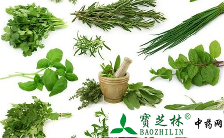 伪品毛曼陀罗子冒充补骨脂 注意鉴别