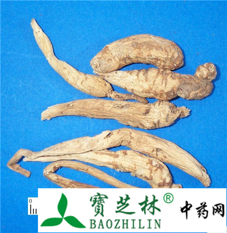 药材南沙参与北沙参的主要鉴别方法