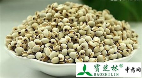 伪品白高梁冒充薏苡仁 使用注意鉴别