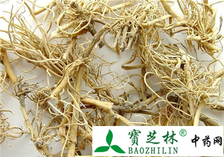 白前与白薇的形状与鉴别