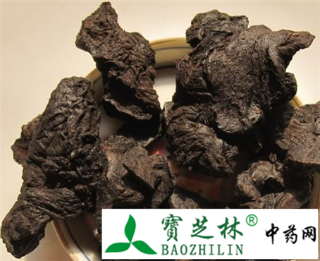 生地黄和熟地黄的功效与区别
