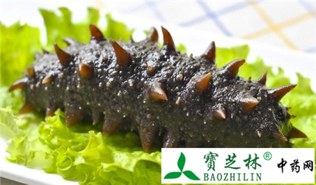 劣质海参加工成优质海参 食用需鉴别