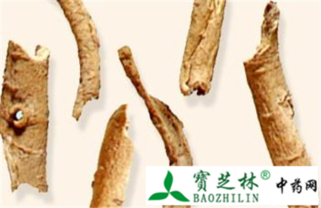 药材五加皮与香五加的鉴别方法