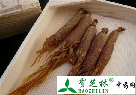 伪品商陆冒充红参 使用时注意鉴别