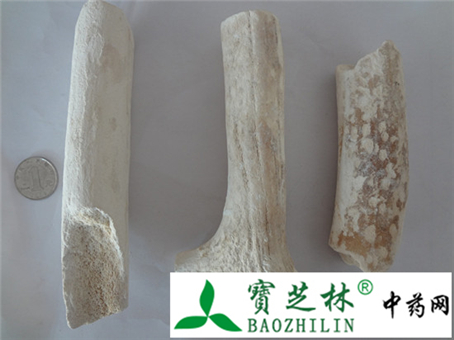 鹿角霜的鉴别方法