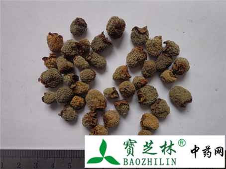 覆盆子的鉴别方法